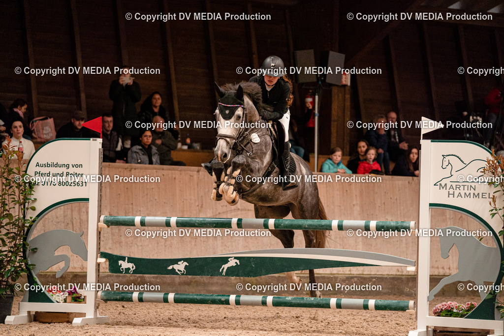 Springen Tag 2-396 | dv-media-shop - Realisiert mit Pictrs.com