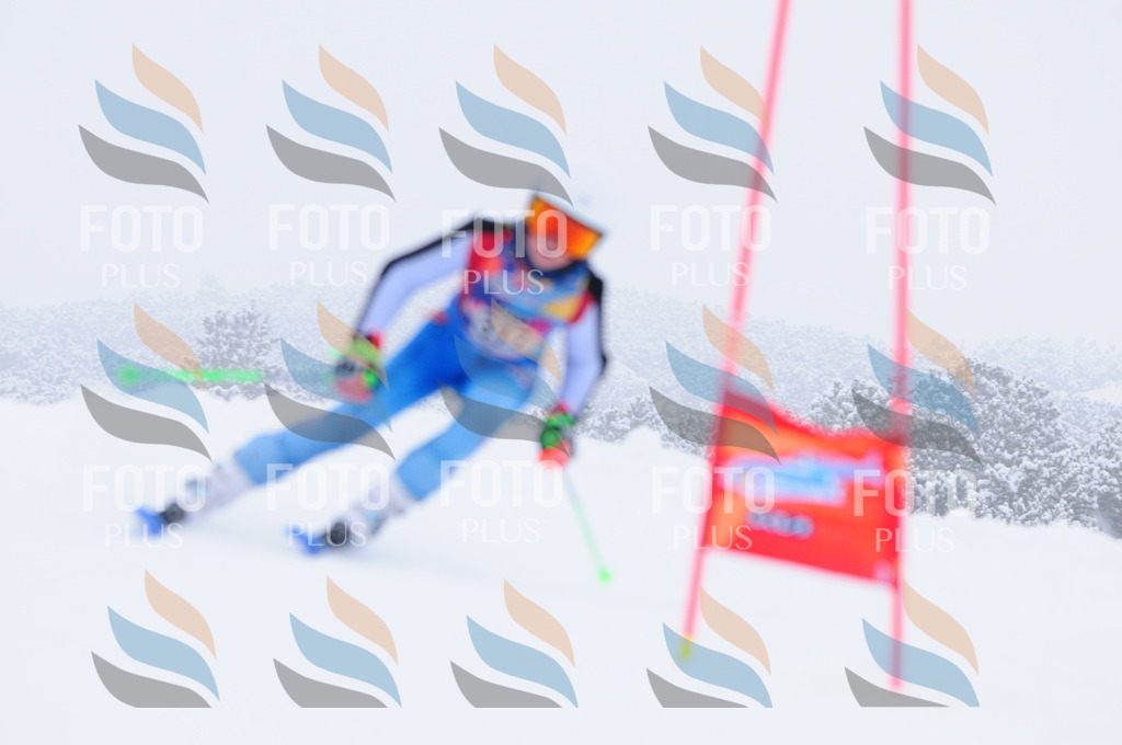 C3358 | holidayphoto