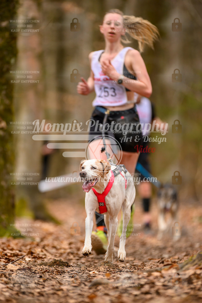 MompixPhotography_Habay2025_SA_CCC-23 | PayLife
