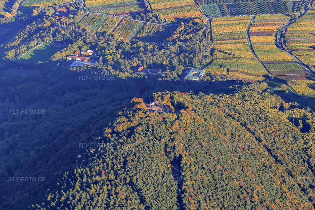 Luftbild: Burgruine und Höhengaststätte Rietburg aus Westen in Venningen im Bundesland Rheinland-Pfalz in Deutschland. Foto: IMG_104052.jpg vom 14.10.2017 durch Werner Riehm/FLY-FOTO.de