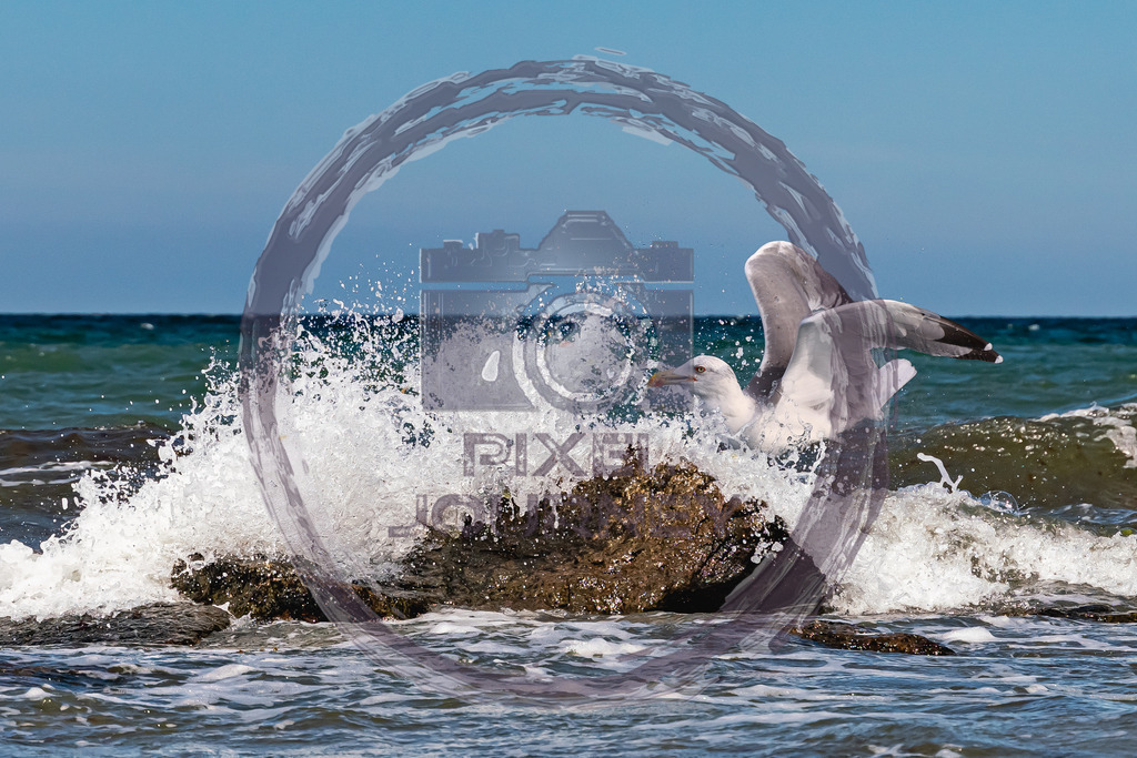 Floodbreaker | Fotograf, Fotografin, Portraitfotograf, Kunstfotograf, Fotoshop Fineart, Fotoshop Kunstfotografie, Fotos kaufen, Pixeljourney, Doreen Riedel, Natur, Tiere, Architektur, Kunst, Makro