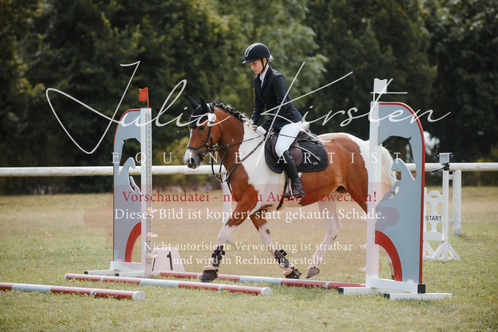 DSC_5446 | Pferde- und Turnierfotografie in Westsachsen. Pferdeportraits, Auftragszeichnungen und intuitive Kunst.