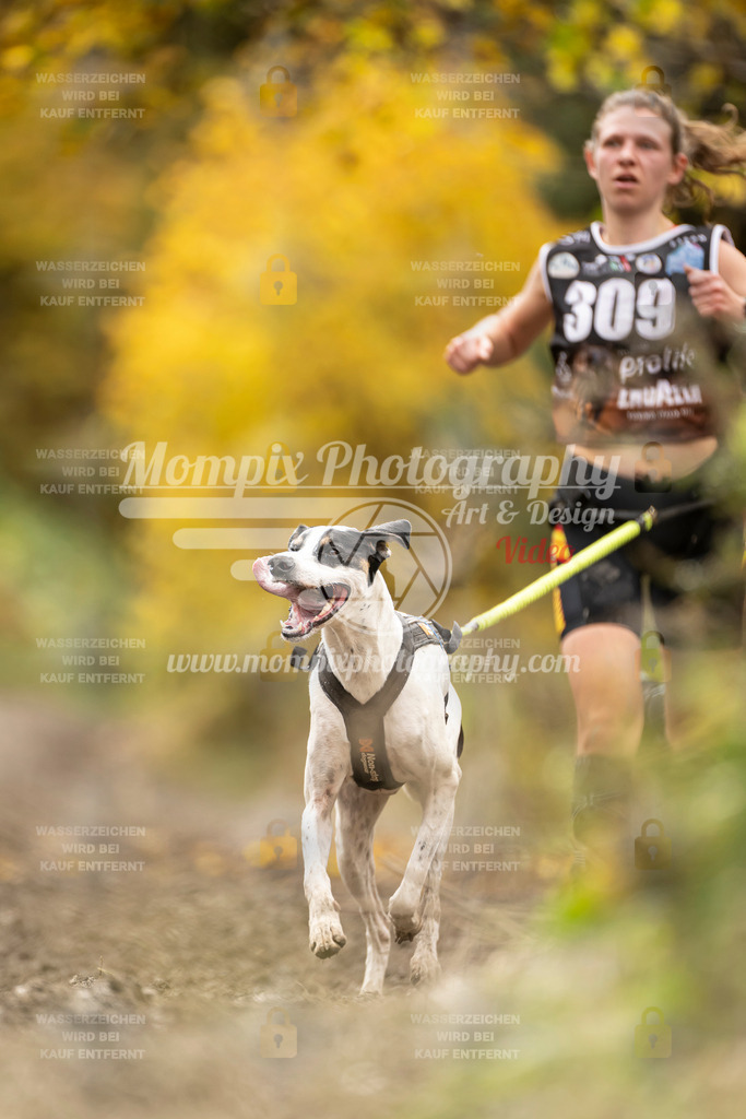 MompixPhotography_ICF_WC_2024_SA_Run_-163 | PayLife