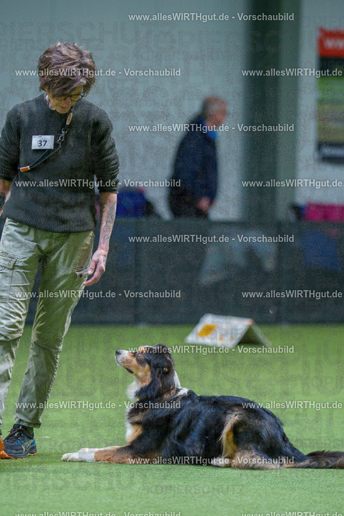 7R506040 | Professionelle Tierfotografie in Mönchengladbach von Daniel Wirth (allesWIRTHgut). Liebevolle & natürliche Bilder von Hunden & Katzen für unvergessliche Erinnerungen.
