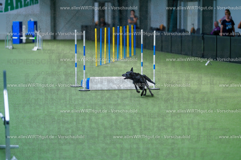 @allesWIRTHgut_Tierfotografie - www.allesWIRTHgut.de - 2604261352-7R502863 | Professionelle Tierfotografie in Mönchengladbach von Daniel Wirth (allesWIRTHgut). Liebevolle & natürliche Bilder von Hunden & Katzen für unvergessliche Erinnerungen.