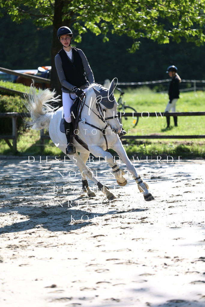 IMGS6376 | pl-fotografie