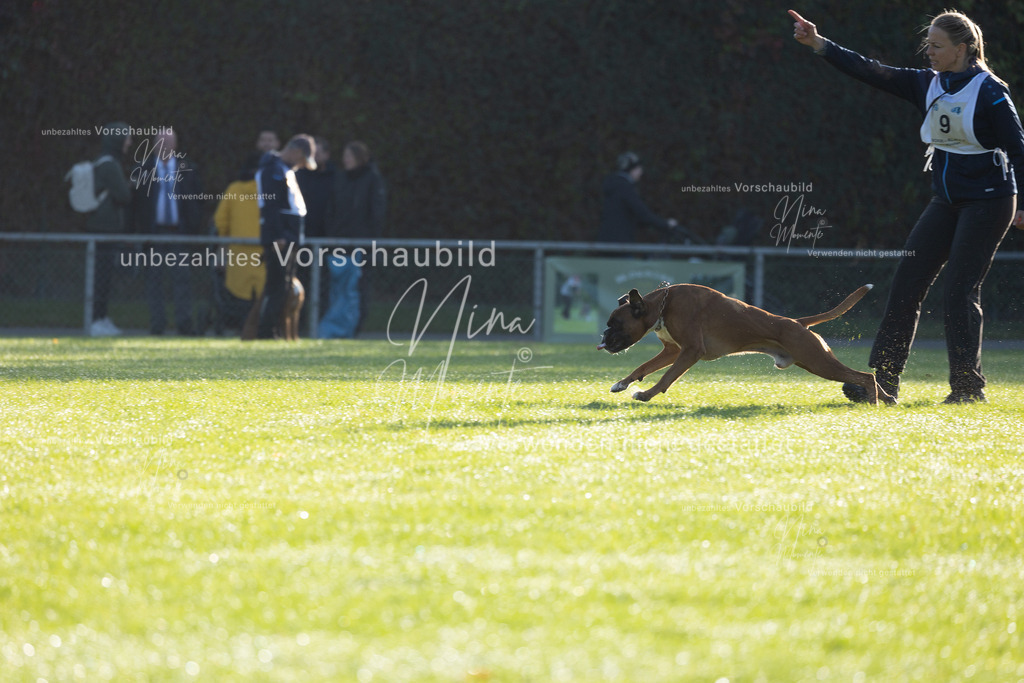 _16A6263 | Einzigartige Fotos von Hunden & Menschen –Actionfotos, Portraits, Vereinsaufnahmen & Paarshootings – authentisch, lebendig & mit Herz.