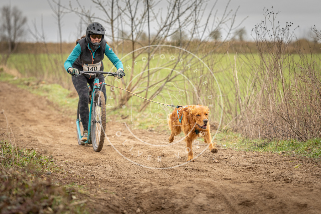 DV3A1454 | Hundefotografie, Tierfotograf, Pfotenfotografie, Fotoshooting Hund, Hunde Portrait, Hundesport, Hundeportraits, Heideshooting, Hunde, Sportfotograf, Hundefotograf, Turnierhundsport, THS,  - Realisiert mit Pictrs.com