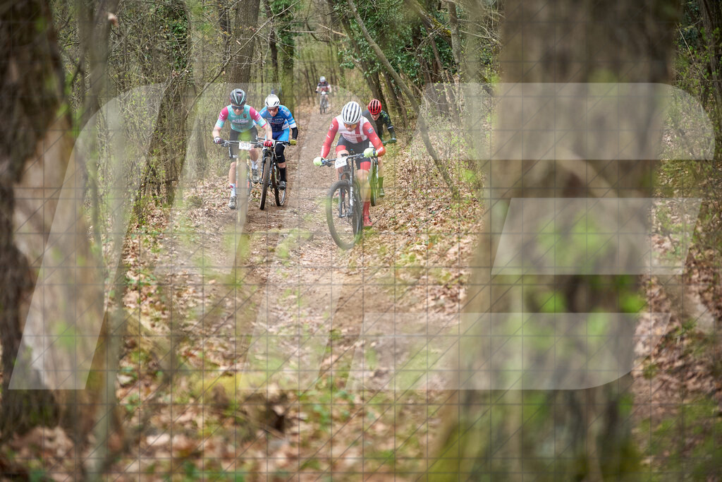 34. KTM Kamptal Trophy  | ZÖBING, Österreich – 2026-03-29: 34. KTM Kamptal TrophyFoto: © 2026 Martin Bihounek - MB Creative e.U.