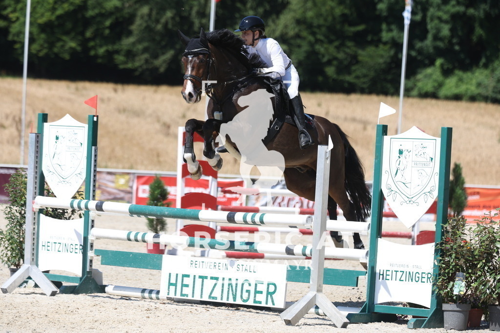 0P6A3323 | Willkommen bei Brunnmayr - Design & Fotografie – Ihrem Spezialisten für Reitturniere und Pferdeveranstaltungen in Oberösterreich, Salzburg und Bayern! Seit über 17 Jahren sind wir leidenschaftlich dabei.