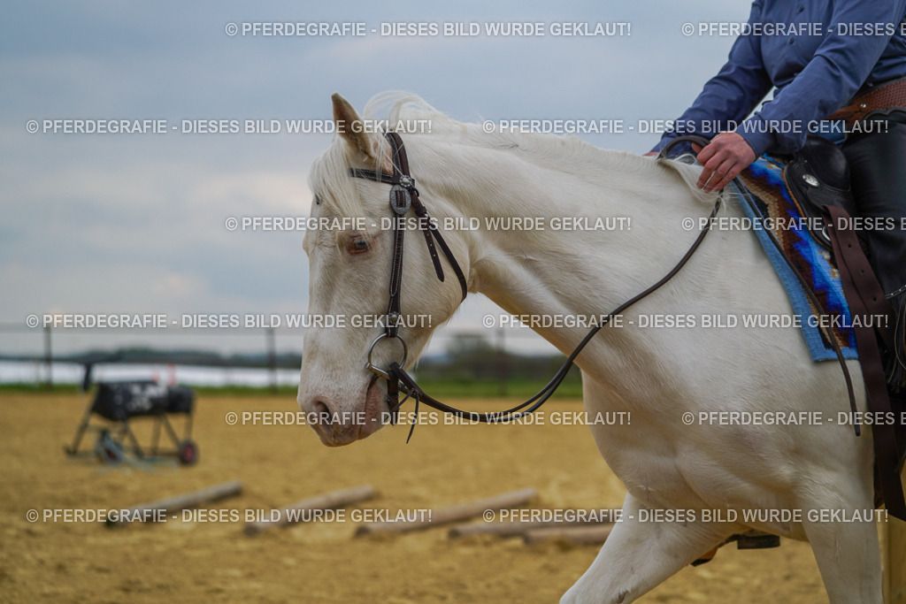 DSC07552 | Pferdegrafie