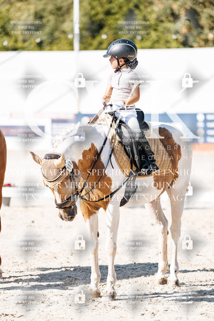 CK903343 | Turnierfotografie Pferdefotografie Trier Rheinland-Pfalz Pferdesport Reitsport Tierfotografie Sportfotografie Pferdevideo Pferdevideografie Equestrianvideography equestrianphotography  - Realisiert mit Pictrs.com