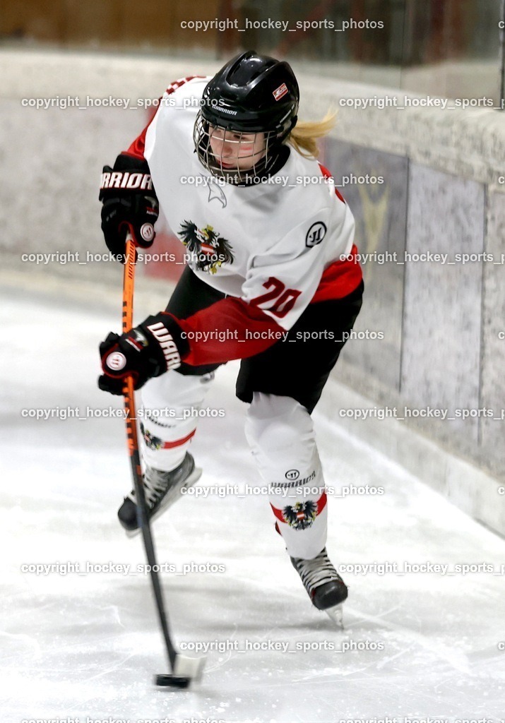 MOWE3686 | hockey sports photos, Pressefotos, Sportfotos, hockey247, win 2day icehockeyleague, Handball Austria, Floorball Austria, ÖVV, Kärntner Eishockeyverband, KEHV, KFV, Kärntner Fussballverband, Österreichischer Volleyballverband, Alps Hockey League, ÖFB, 