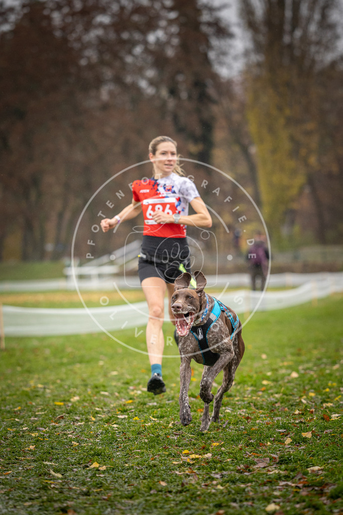 CaniXpix_DV3A8920 | Hundefotografie, Tierfotograf, Pfotenfotografie, Fotoshooting Hund, Hunde Portrait, Hundesport, Hundeportraits, Heideshooting, Hunde, Sportfotograf, Hundefotograf, Turnierhundsport, THS,  - Realisiert mit Pictrs.com