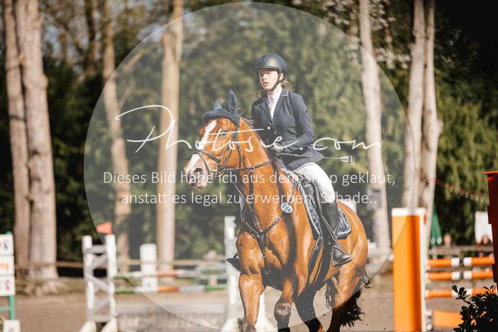 3I6A3645 | Stimmungsvolle Portraits und Reitsportfotografie im Ruhrgebiet und im Münsterland.

Pferdefotografie, Hundefotografie, Tierfotografie, Reportagen, Portraits von Tier und Mensch, Turnierfotografie in Bochum, Recklinghausen, Marl, Haltern am See, Dülmen.. - Realisiert mit Pictrs.com