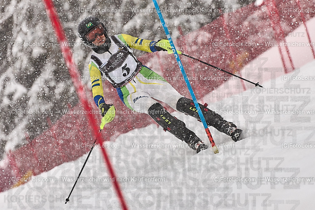 _ALP8048_MASTERS-WM_Reiteralm_CD_SL-I_ARNHOLD Luci | FISWORLD CHAMPIONSHIPSMASTERS ALPINE SKIING, 23. – 28. MÄRZ 2026 - REITERALM | STMK | AUT.   Veranstaltet vom Masters-Referat des Deutschen Skiverbandes (DSV). Durchführende Organisation: WSV Pichl-Reiteralm, unterstütutzt von den Bergbahnen REITERALM bei Schladming und SKI AUSTRIA.                            Disziplinen:  Super-G, GiantSlalom, Slalom.                                                 Kategorien:  A (Herrn 30-59 Jahre), B (Herrn ab 60 Jahre), C (Damen 30-59 Jahre), D (Damen ab 60 Jahre).                Rennstrecken:   Gasselhöhe und Muldenliftpiste auf der Reiteralm.