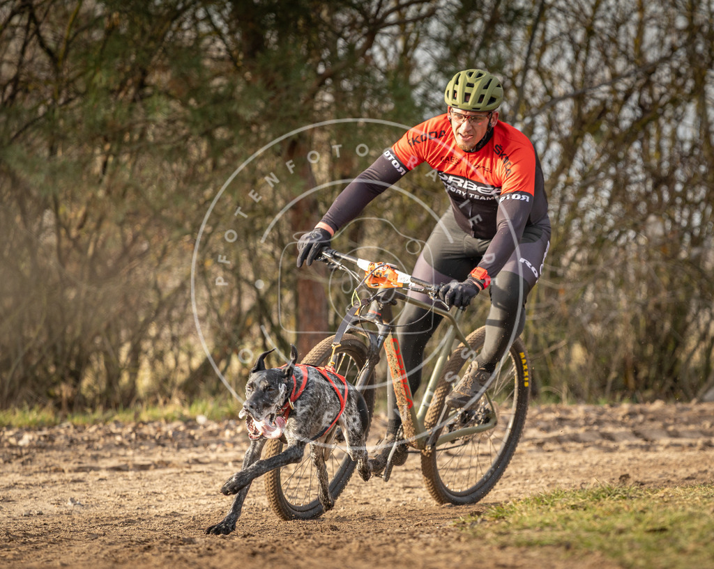 Pfotenfotografie_DV3A7357 | Hundefotografie, Tierfotograf, Pfotenfotografie, Fotoshooting Hund, Hunde Portrait, Hundesport, Hundeportraits, Heideshooting, Hunde, Sportfotograf, Hundefotograf, Turnierhundsport, THS,  - Realisiert mit Pictrs.com