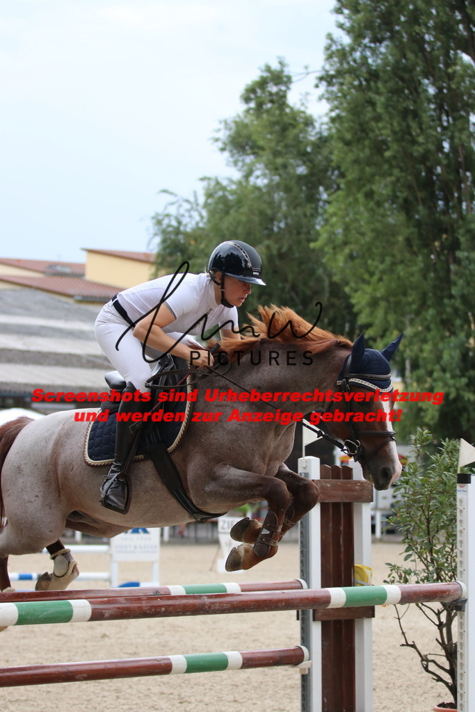 IMG_7875 | lmwpictures - Realisiert mit Pictrs.com