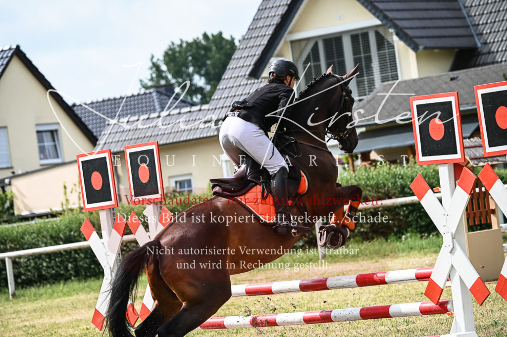 DSC_8289 | Pferde- und Turnierfotografie in Westsachsen. Pferdeportraits, Auftragszeichnungen und intuitive Kunst.