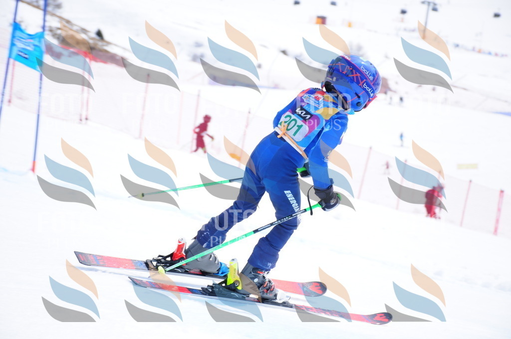 DSC_1806 | holidayphoto