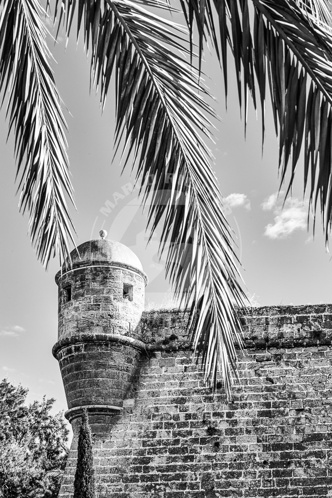 Palma | ***Beim Herunterladen der Bilddateien gelten die Lizenzbestimmungen wie auf unserer Produktseite beschrieben: *** Nennung der Bildquelle: Foto Marco Richter.***1Einzellizenz. Ausschließlich digitale Nutzung.*** Sollten Sie ein Foto für den Druck oder Mehrfachlizenzen benötigen, kontaktieren Sie uns bitte für eine Erweiterte Lizenz per Mail oder Kontaktformular.***