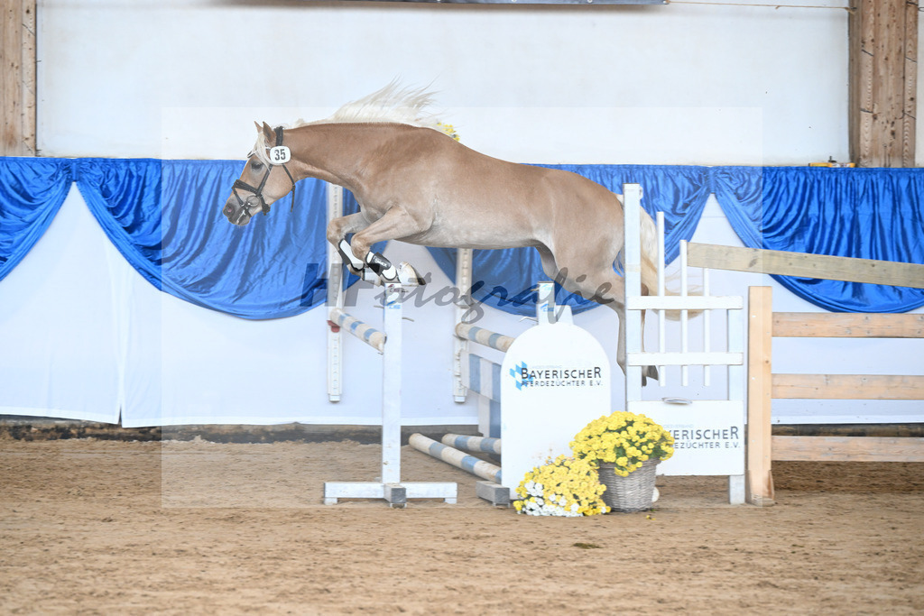 Kat-Nr. 35 nn v. Bugatti_Friedrich_48250109 | hf-fotografie - Realisiert mit Pictrs.com