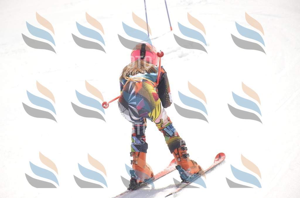 _ELE9288 | holidayphoto