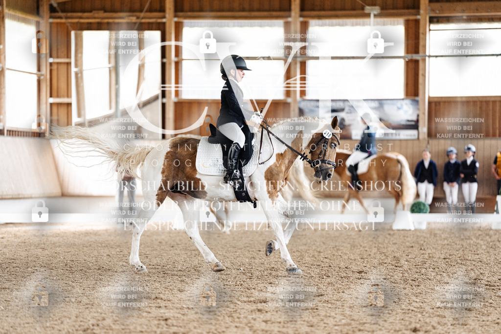 CK900532 | Turnierfotografie Pferdefotografie Trier Rheinland-Pfalz Pferdesport Reitsport Tierfotografie Sportfotografie Pferdevideo Pferdevideografie Equestrianvideography equestrianphotography  - Realisiert mit Pictrs.com