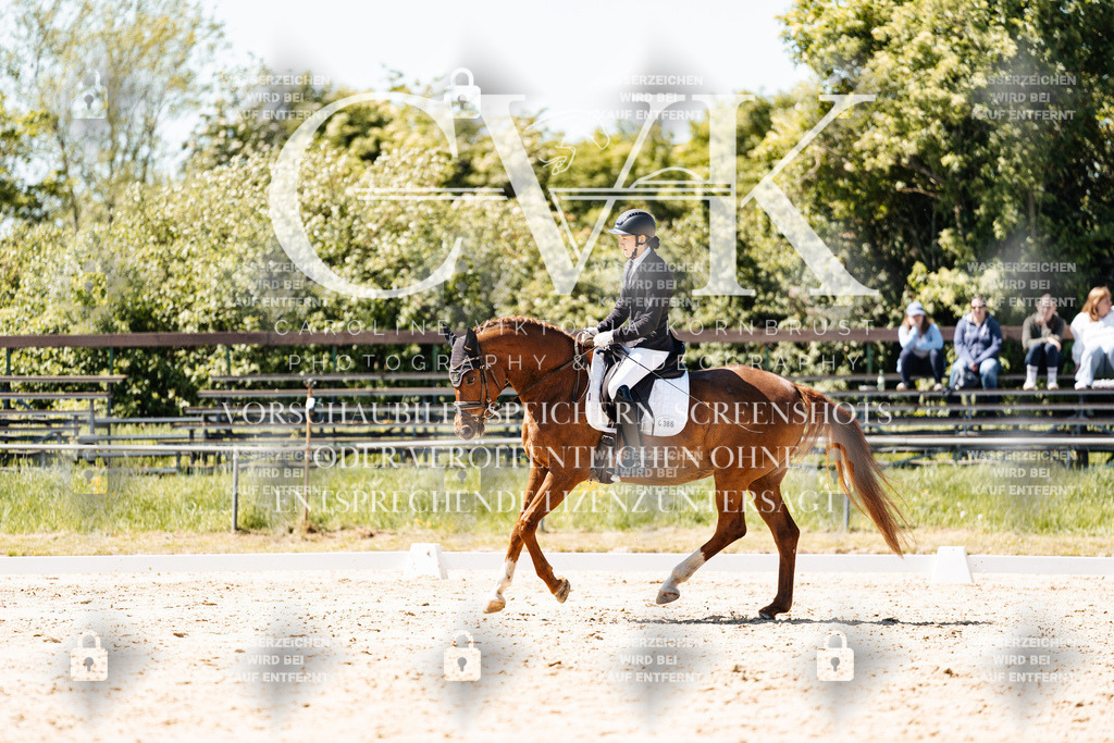 CK905989 | Turnierfotografie Pferdefotografie Trier Rheinland-Pfalz Pferdesport Reitsport Tierfotografie Sportfotografie Pferdevideo Pferdevideografie Equestrianvideography equestrianphotography  - Realisiert mit Pictrs.com