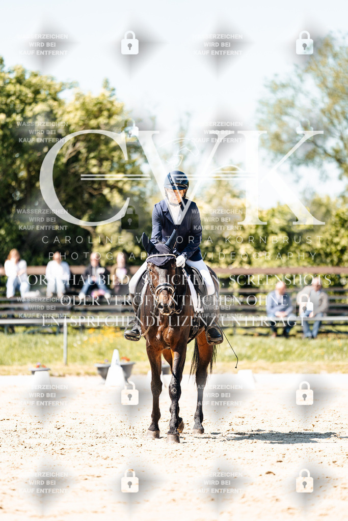 CK905391 | Turnierfotografie Pferdefotografie Trier Rheinland-Pfalz Pferdesport Reitsport Tierfotografie Sportfotografie Pferdevideo Pferdevideografie Equestrianvideography equestrianphotography  - Realisiert mit Pictrs.com
