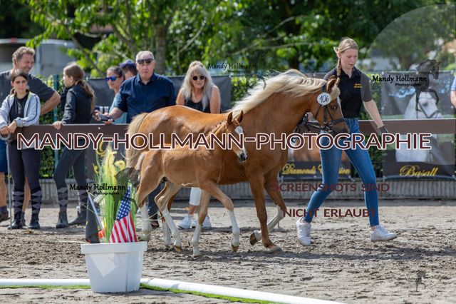 _MG_6833 | mandyhollmannphotographie