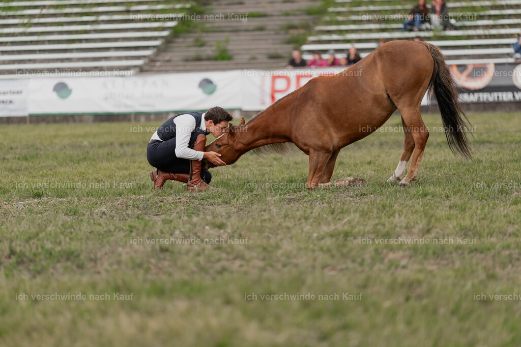 Showprogramm-421 | working equitationturnier fotograf videograf stoibphotography marixx film working equitation deutschland reitsport turnierfotografie eventfotografie equestrian events
