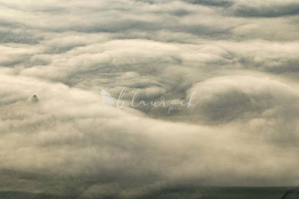 701A5607-Verbessert-RR | Sportbilder, Sportfotograf, Hochzeits- und Eventfotografin, Flugshows, Portraits und Tiershooting, Aviation, Downhill, Nationalleague, Swissleague, International