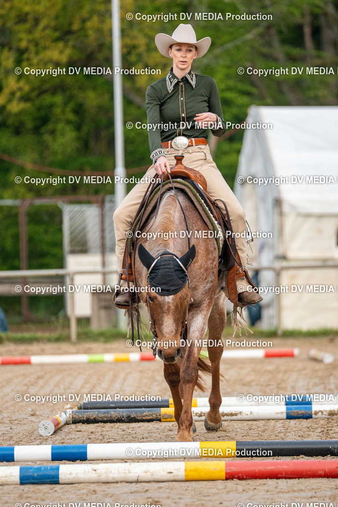 Heiligenwald Tag 1-67 | dv-media-shop - Realisiert mit Pictrs.com
