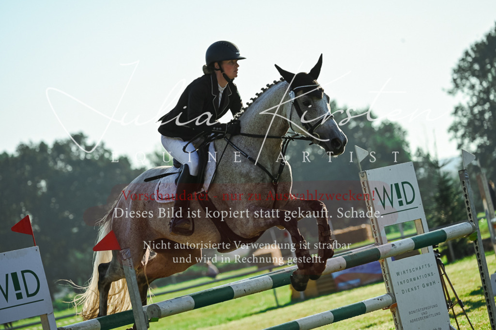 DSC_4254 | Pferde- und Turnierfotografie in Westsachsen. Pferdeportraits, Auftragszeichnungen und intuitive Kunst.