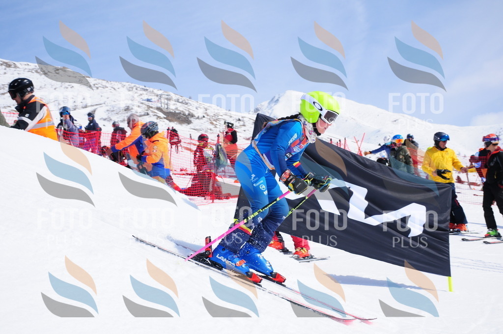 DSC_1386 | holidayphoto