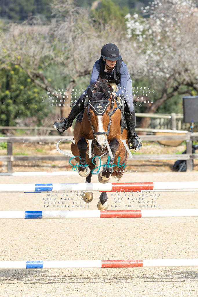 IMG_4508 | s-jay-photography - Realisiert mit Pictrs.com