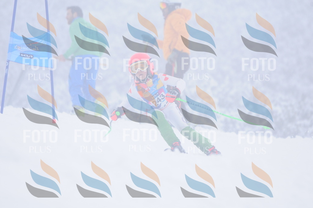 C2538 | holidayphoto