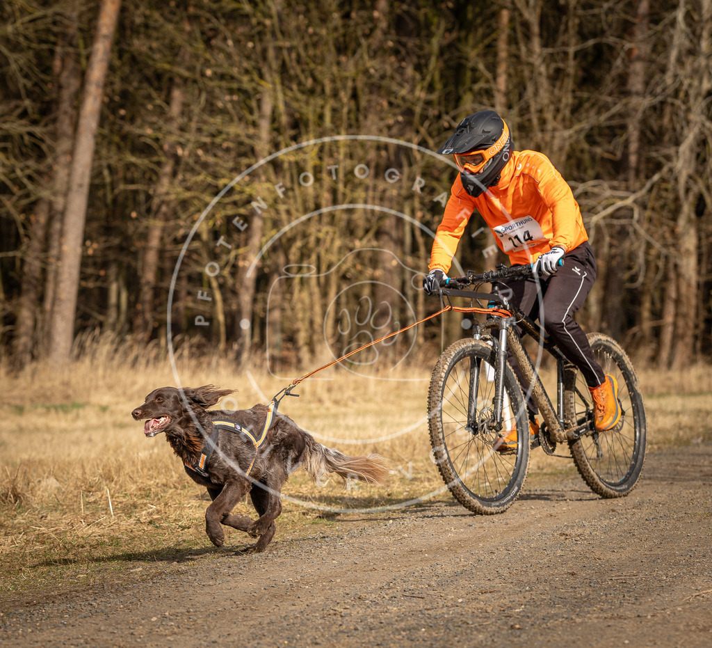 DV3A4465 | Hundefotografie, Tierfotograf, Pfotenfotografie, Fotoshooting Hund, Hunde Portrait, Hundesport, Hundeportraits, Heideshooting, Hunde, Sportfotograf, Hundefotograf, Turnierhundsport, THS,  - Realisiert mit Pictrs.com