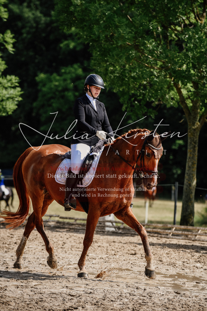 DSC_0282 | Pferde- und Turnierfotografie in Westsachsen. Pferdeportraits, Auftragszeichnungen und intuitive Kunst.