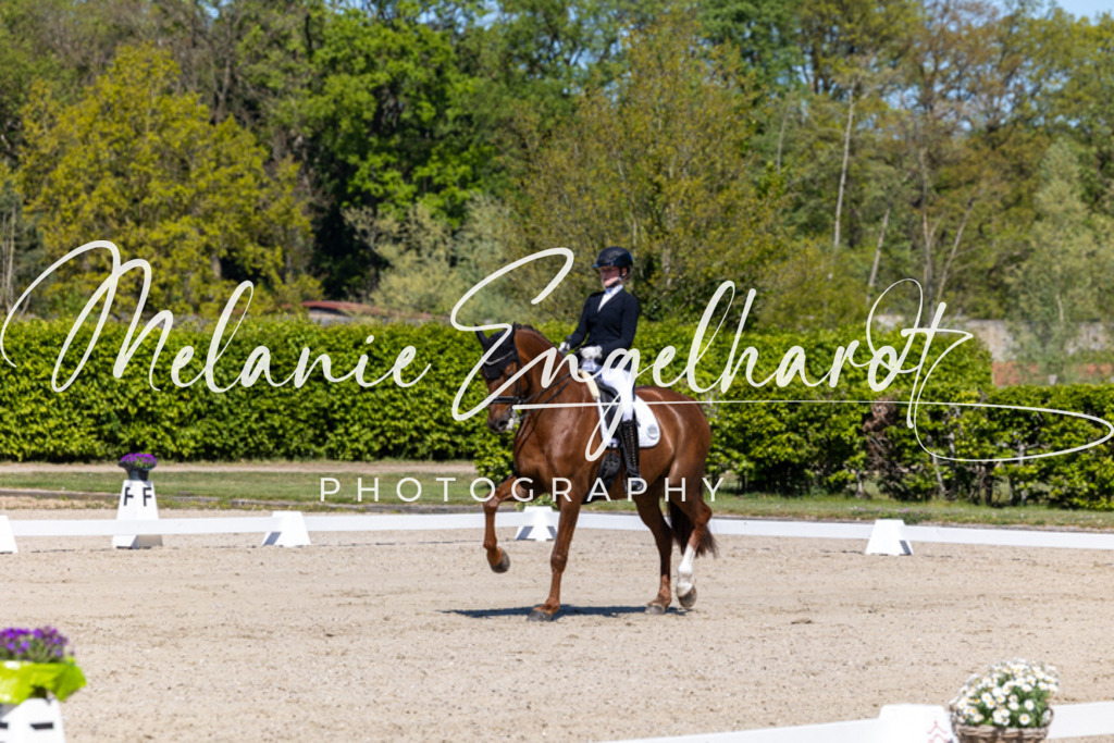 7I8A9830 | melanie-engelhardt-photography - Realisiert mit Pictrs.com