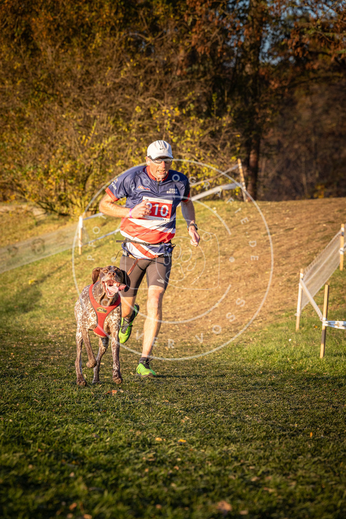 CaniXpix_0L8A1480 | Hundefotografie, Tierfotograf, Pfotenfotografie, Fotoshooting Hund, Hunde Portrait, Hundesport, Hundeportraits, Heideshooting, Hunde, Sportfotograf, Hundefotograf, Turnierhundsport, THS,  - Realisiert mit Pictrs.com