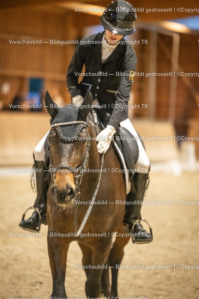 _D5A7611 | Emotionale Pferde- & People-Fotografie rund um Heidelberg, Leimen & Umgebung. Natürliche Fotos von Pferd, Mensch & Familie. Jetzt Termin sichern!