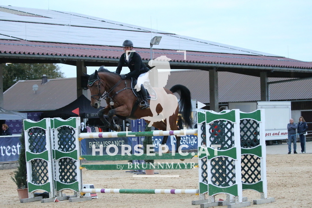 DL2Q6736 | Willkommen bei Brunnmayr - Design & Fotografie – Ihrem Spezialisten für Reitturniere und Pferdeveranstaltungen in Oberösterreich, Salzburg und Bayern! Seit über 17 Jahren sind wir leidenschaftlich dabei.