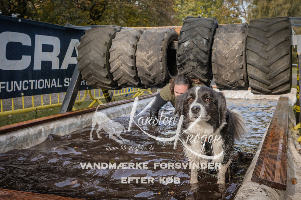 1422_ZZ94408 | kk-dogfotos