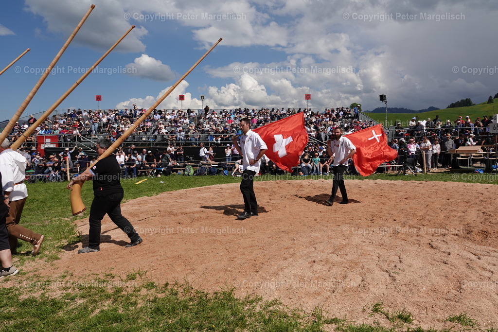 DSC01004 | Schwingen - Realisiert mit Pictrs.com