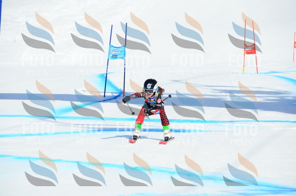 DSC_0508 | holidayphoto