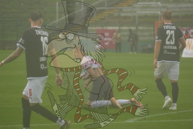 BFC Dynamo vs. FSV Zwickau  041 | mythos-online-redaktion