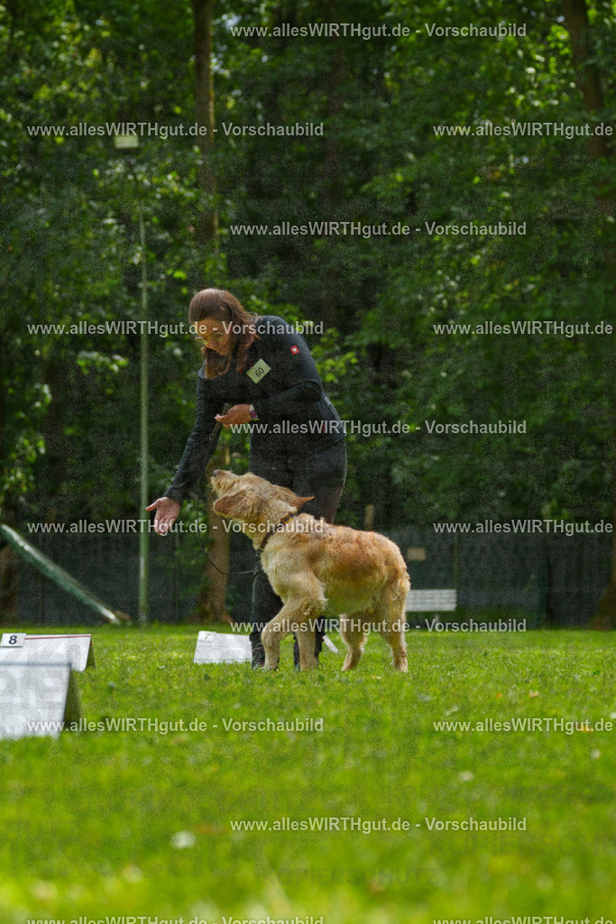@allesWIRTHgut_Tierfotografie - www.allesWIRTHgut.de - 7R501568 | Professionelle Tierfotografie in Mönchengladbach von Daniel Wirth (allesWIRTHgut). Liebevolle & natürliche Bilder von Hunden & Katzen für unvergessliche Erinnerungen.