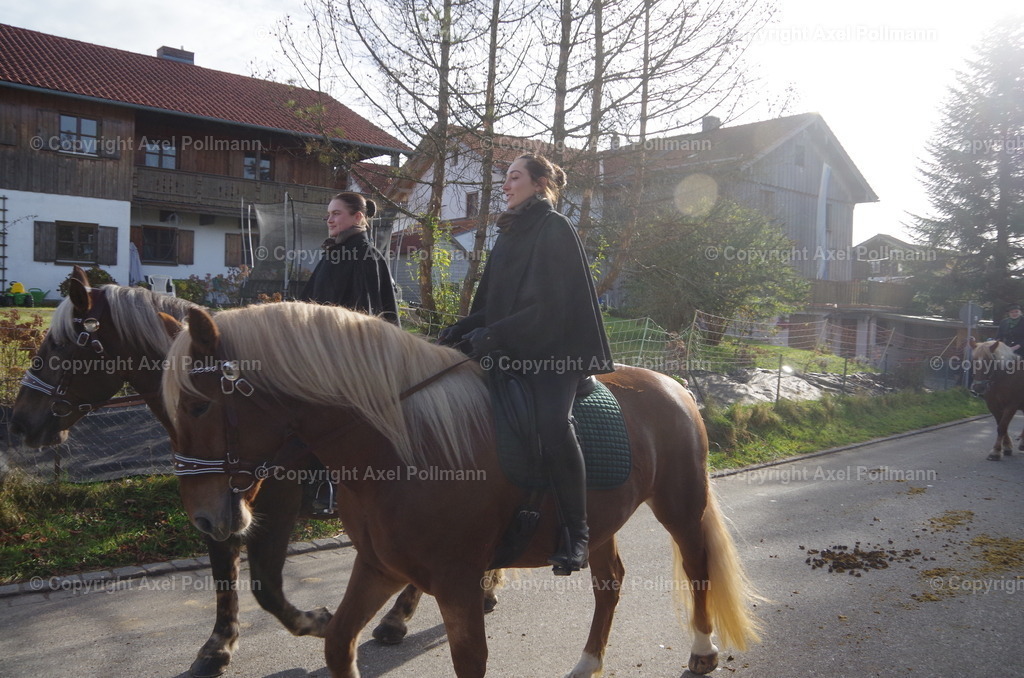 IMGP1255 | fotografiert von Axel PollmannLeonhardi Wallfahrt Benediktbeuern und Murnau, Fronleichnam, Fasching, Landschaft im Loisachtal und Benediktbeuern  - Realisiert mit Pictrs.com